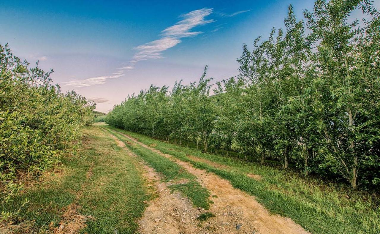 Oudewerfskloof Olive Farm Villa Stilbaai Exterior foto