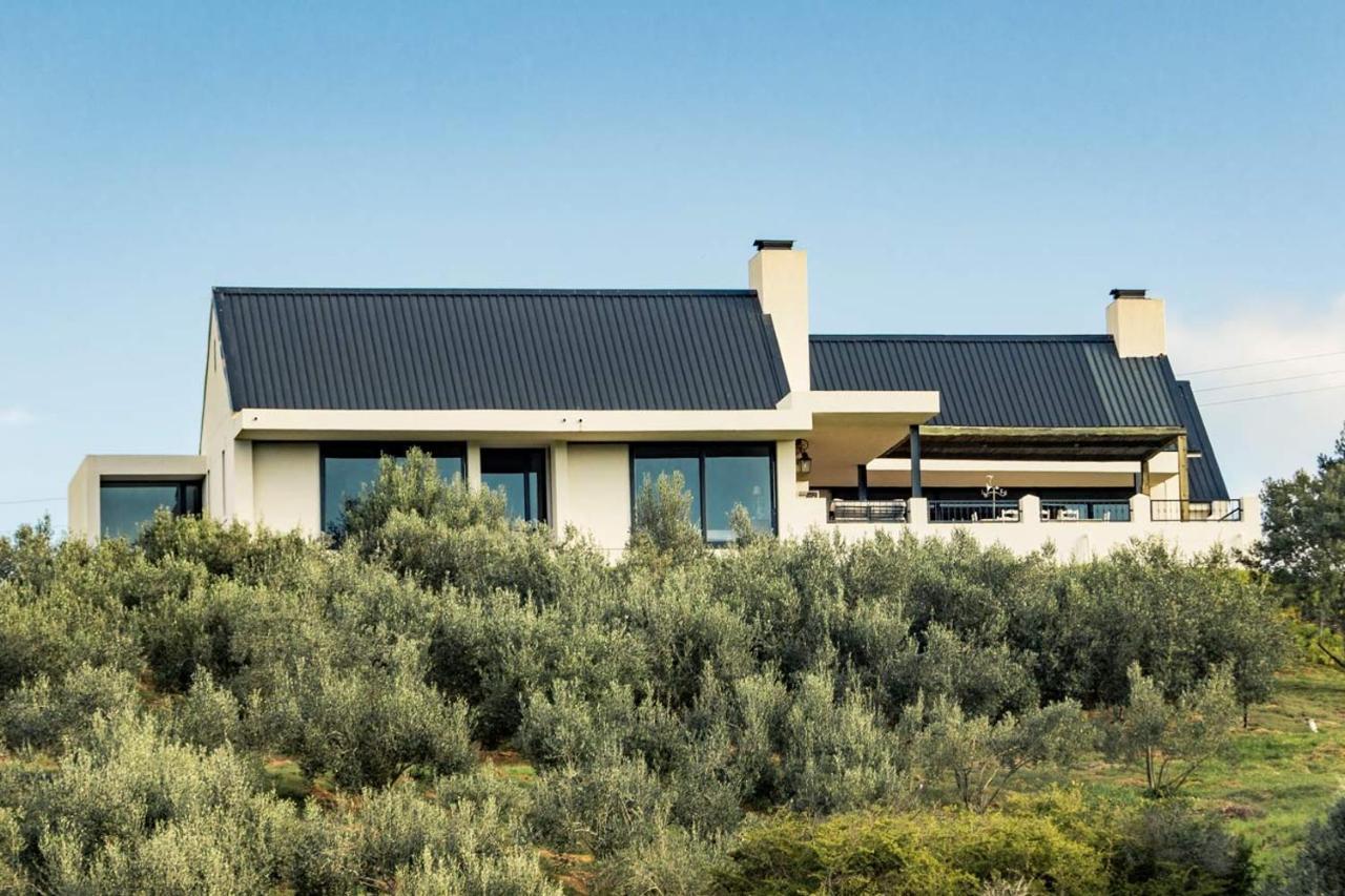Oudewerfskloof Olive Farm Villa Stilbaai Exterior foto