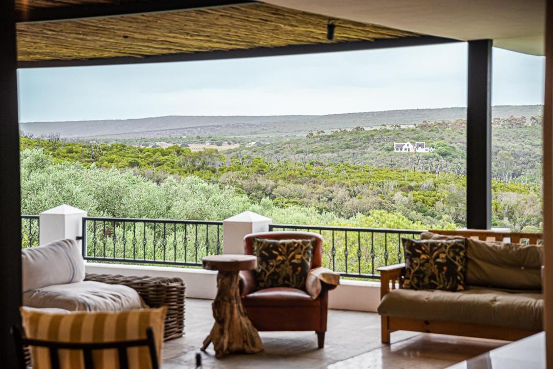 Oudewerfskloof Olive Farm Villa Stilbaai Exterior foto