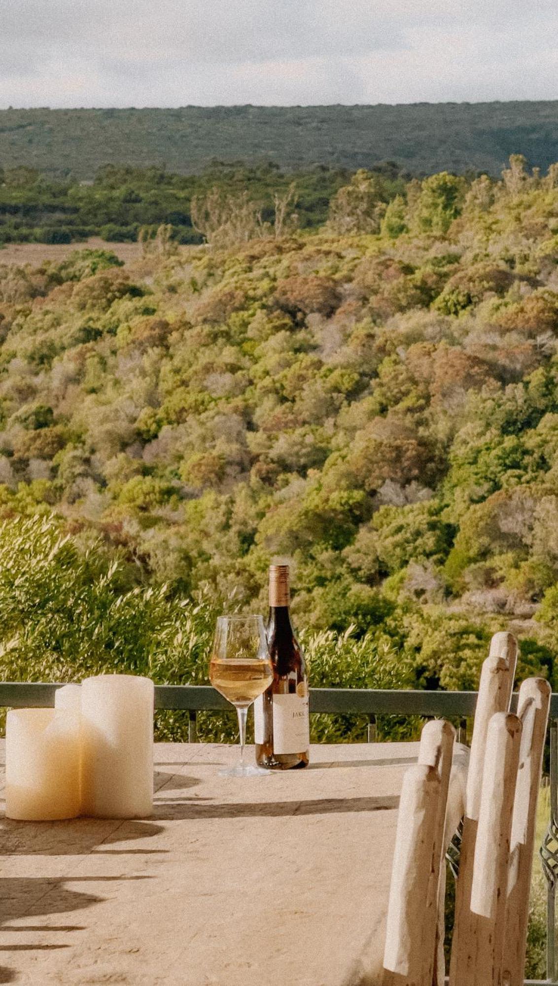 Oudewerfskloof Olive Farm Villa Stilbaai Exterior foto
